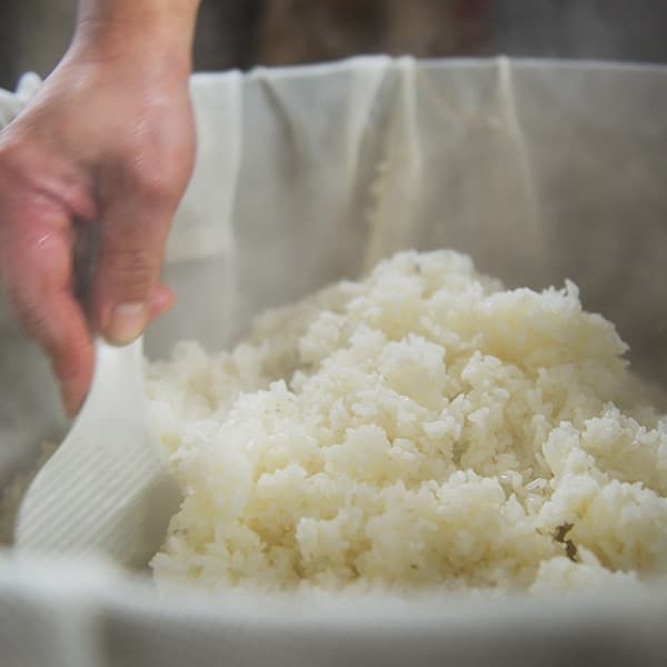 お米は米農家さんから直接仕入れています。